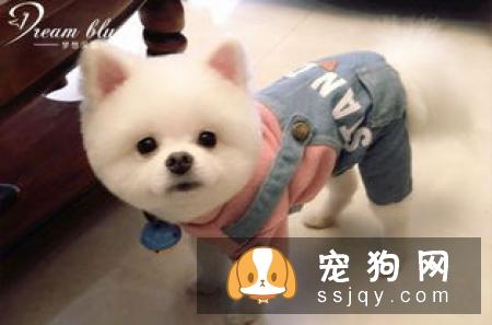 狗狗螨虫病是什么原因引起的？