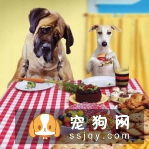 狗狗最容易患上哪些传染病？
