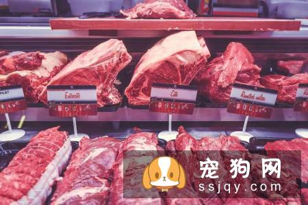 狗狗常见的过敏症状以及过敏源