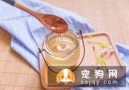 松狮犬怎么进行毛发梳理？