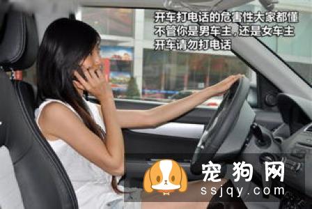 夏季养狗狗六大注意事项，开不得玩笑！