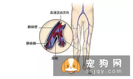 面对“真菌 螨虫 炎症”的时候，咋办咧？