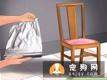 如何让宠物不祸害家具？