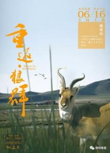 大格林芬犬好养吗_怎么饲养？