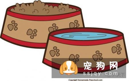 我是宠物店,看完亚宠展,连我都不知道,那怎么给宠爸宠妈们推介啊?
