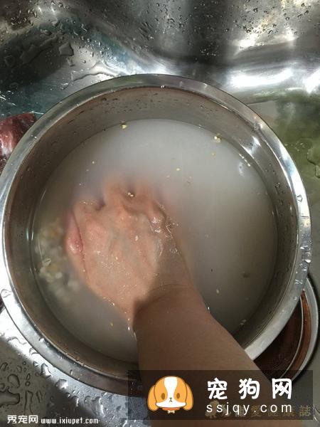 给宠物狗狗好吃的米饭煮法！
