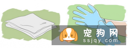 如何帮助狗狗疏通肛门腺？