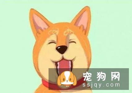 教你读懂狗狗的耳朵和眼睛的语言