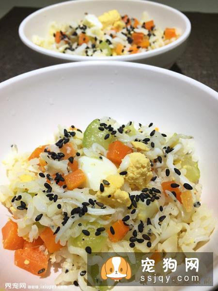 利用春天幫狗狗健康打底的蔬食4要素
