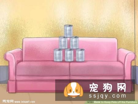 如何让宠物不祸害家具？