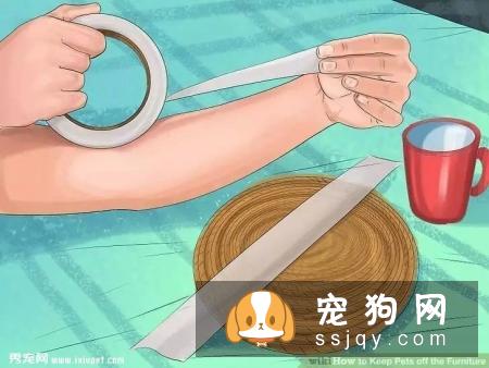 如何让宠物不祸害家具？