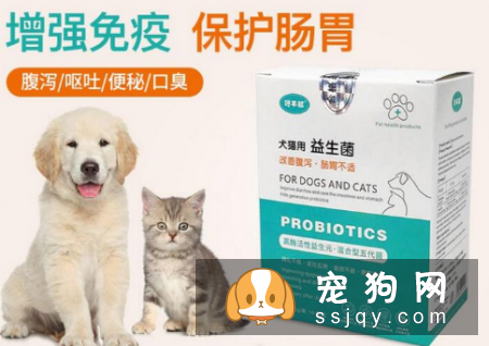 狗狗呕吐怎么办正如这类“馋不腻宠物益生菌”有效调理