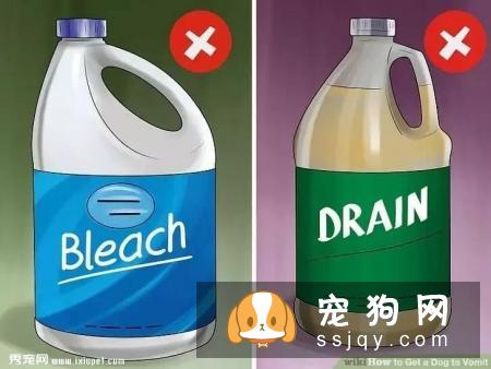 狗狗吞食毒物后如何催吐急救？