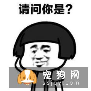 养狗狗的这些坏习惯可能致命，请注意！
