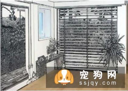 如何让宠物不祸害家具？
