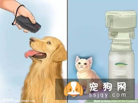 如何让宠物不祸害家具？