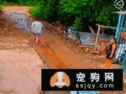 养狗狗的这些坏习惯可能致命，请注意！