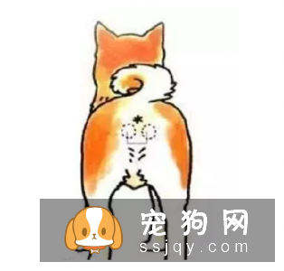 狗狗为什么刚洗好澡又有臭味了呢?