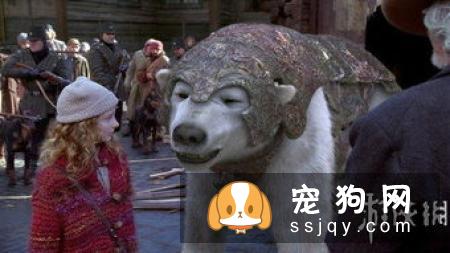 有一只圣伯纳犬守护应该是这个世界上最幸福的事情了