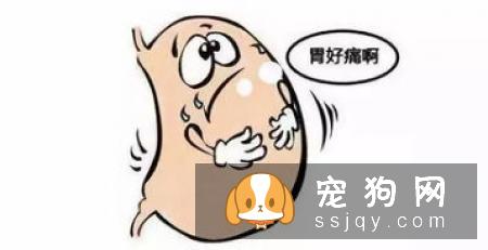 宠物不断抓挠嘴巴，当心食道卡异物