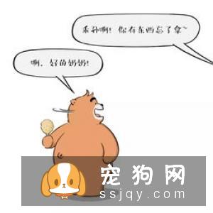 哪些狗狗容易发生胃扭转?