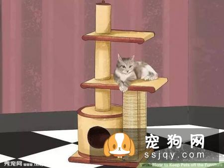 如何让宠物不祸害家具？