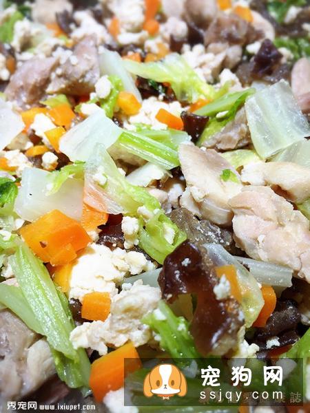 利用春天幫狗狗健康打底的蔬食4要素