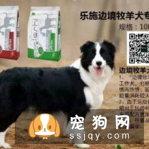 幼犬吃成犬粮会怎么样? 幼犬应该吃怎样的食物?