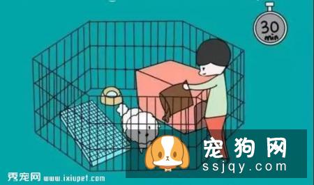 狗狗不会定点排便？那你应该这么训练