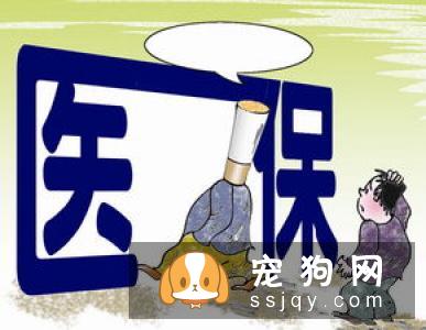 最基础又最实用的训练：狗定点排便