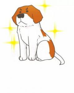 有一只圣伯纳犬守护应该是这个世界上最幸福的事情了