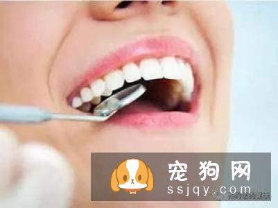 牙齿对于狗狗来说是个很关键的部位,它不仅影响美观,更影响到食欲和心情
