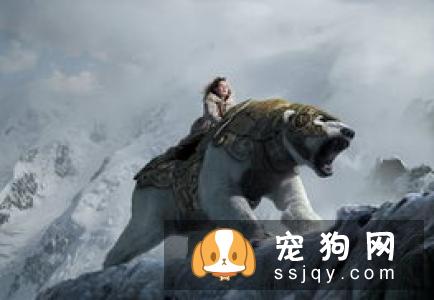 有一只圣伯纳犬守护应该是这个世界上最幸福的事情了