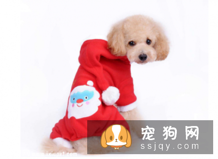宠物的生理功能你知道多少？养宠人士了解一下！