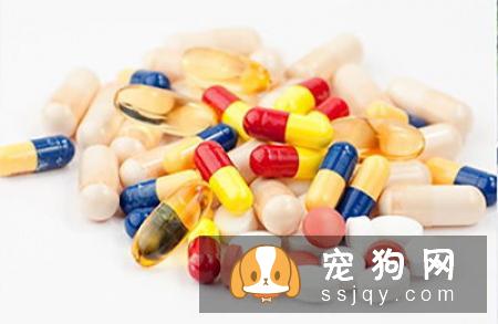 狗狗是如何感染犬瘟的，犬瘟晚期能注射单抗治疗吗?
