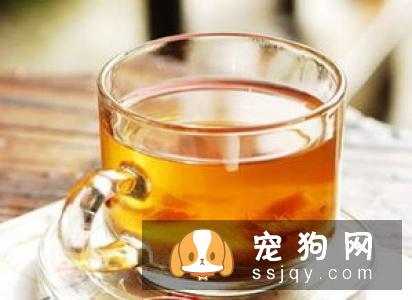 狗狗流黄鼻涕是感冒吗，狗狗感冒会流脓鼻涕么？