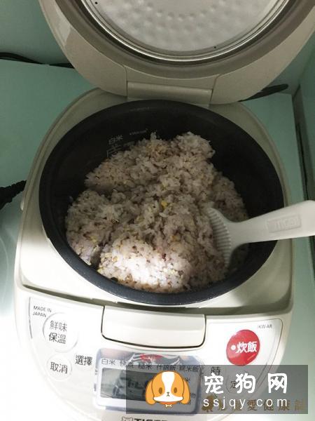 给宠物狗狗好吃的米饭煮法！