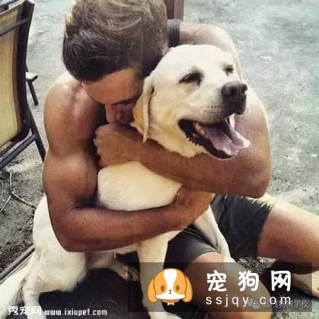 常识帖！宠物口腔知识