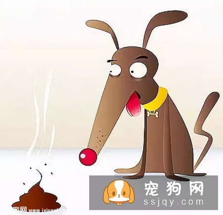 狗狗异食癖是什么原因导致的，应该如何防治？