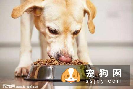 宠物不断抓挠嘴巴，当心食道卡异物
