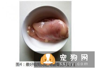 冬天狗狗需要做好这几步，预防犬窝咳！