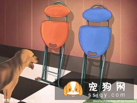如何让宠物不祸害家具？