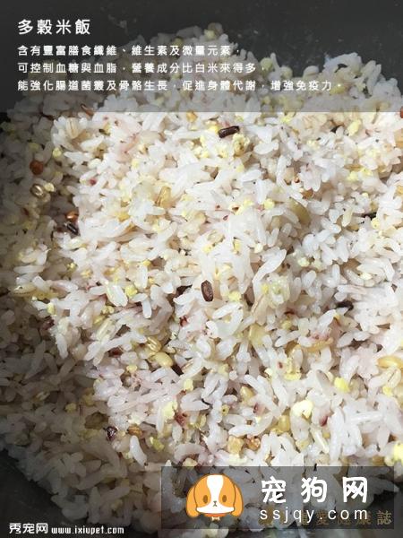 给宠物狗狗好吃的米饭煮法！
