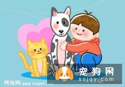 怎样喂养让宠物更健康！