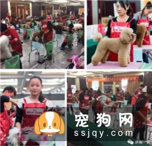宠物美容教父林裕雄导师山东讲习会