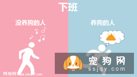 九张图告诉你养狗和不养狗的区别