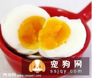 狗狗吃蛋清好，还是蛋黄好？