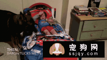 嫌麻烦！这就是我养大型犬的原因！
