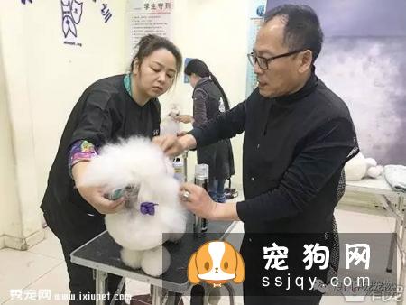 【宠物美容培训学校】厦门中宠师资力量