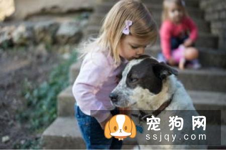养只味道很大的宠物是种怎样的体验？